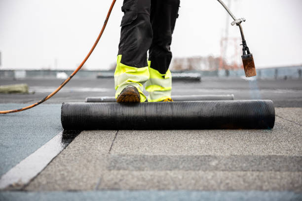 Best Roof Moss and Algae Removal  in Lorain, OH